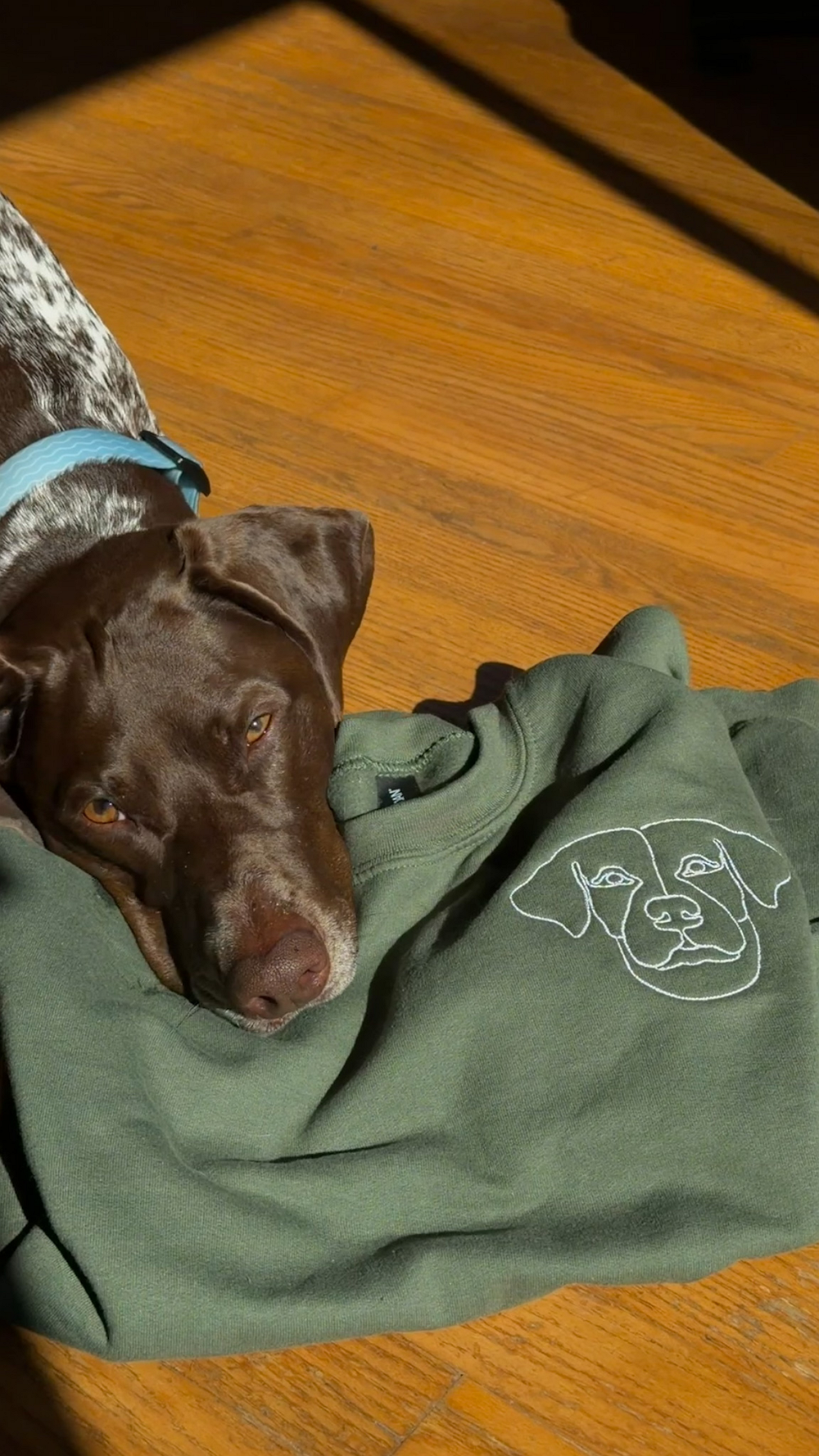 Olive